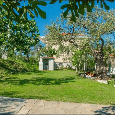 Sunray Separate Villa Skala Sotiros Exterior photo